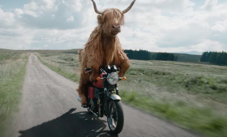 Anuncio de Virgin | When you walk when you can ride