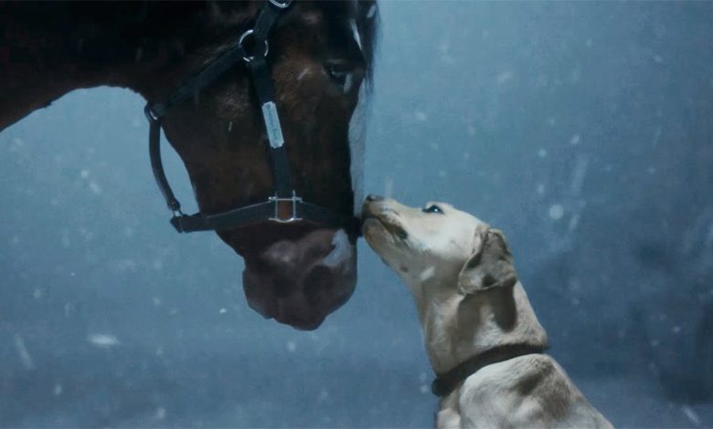 Anuncio de budweiser para la Super Bowl 2024