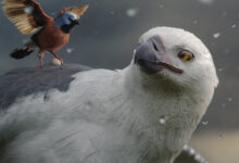 Anuncio de Allianz | Flight of the Finch