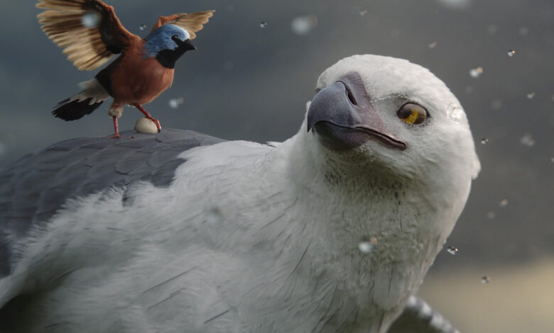 Anuncio de Allianz | Flight of the Finch